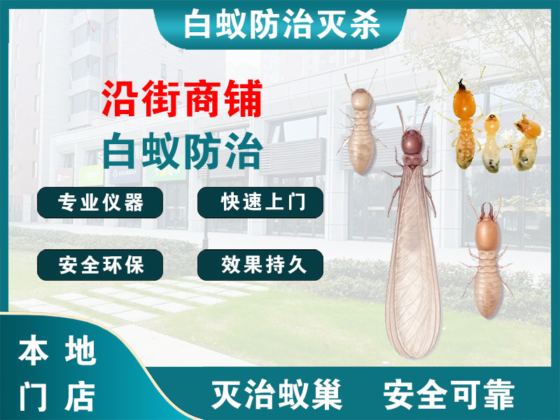 扬州沿街商铺白蚁防治