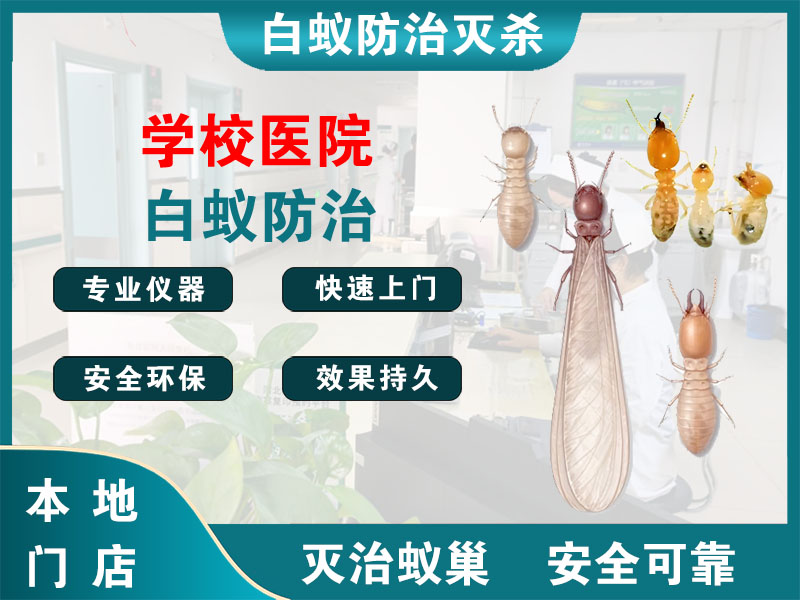 扬州学校医院白蚁防治