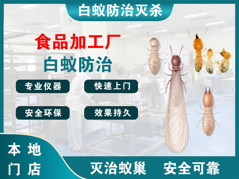 扬州食品加工厂白蚁防治