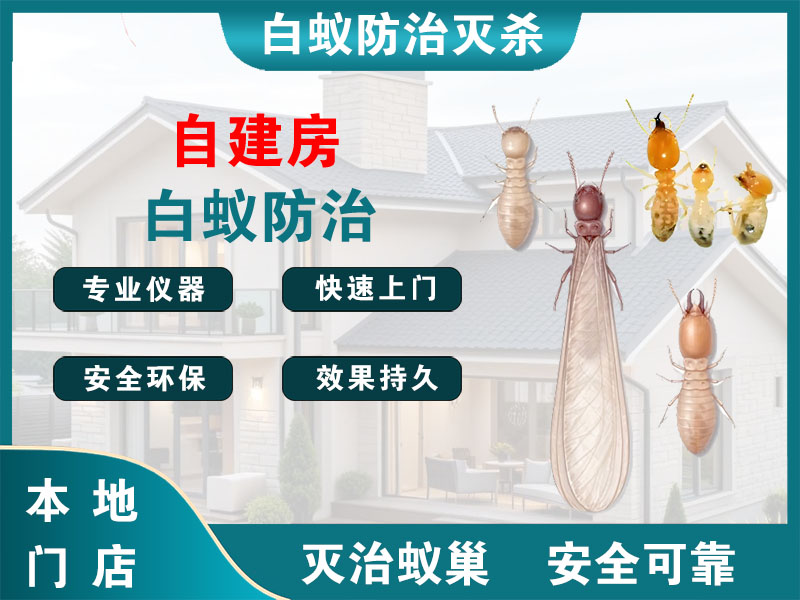 扬州自建房白蚁防治