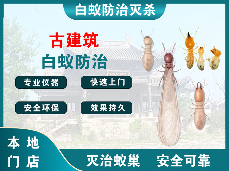 扬州古建筑白蚁防治