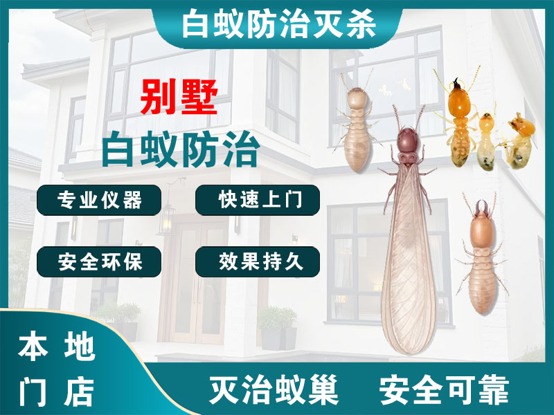 扬州别墅白蚁防治